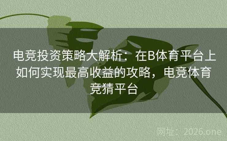 电竞投资策略大解析:在B体育平台上如何实现最高收益的攻略,电竞体育竞猜平台