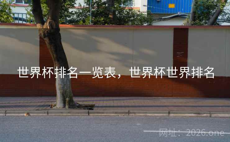 世界杯排名一览表,世界杯世界排名