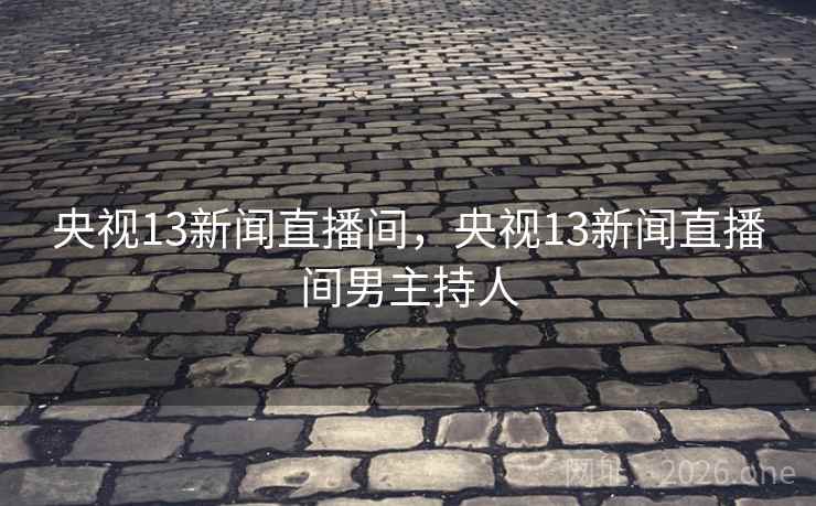 央视13新闻直播间,央视13新闻直播间男主持人