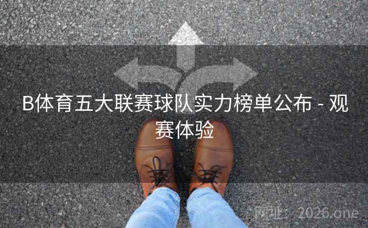B体育五大联赛球队实力榜单公布 - 观赛体验