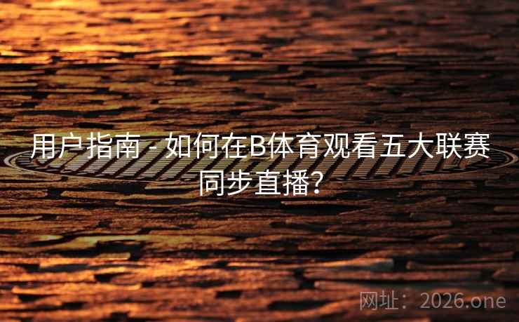 用户指南 - 如何在B体育观看五大联赛同步直播?