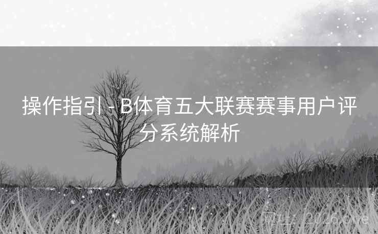 操作指引 - B体育五大联赛赛事用户评分系统解析