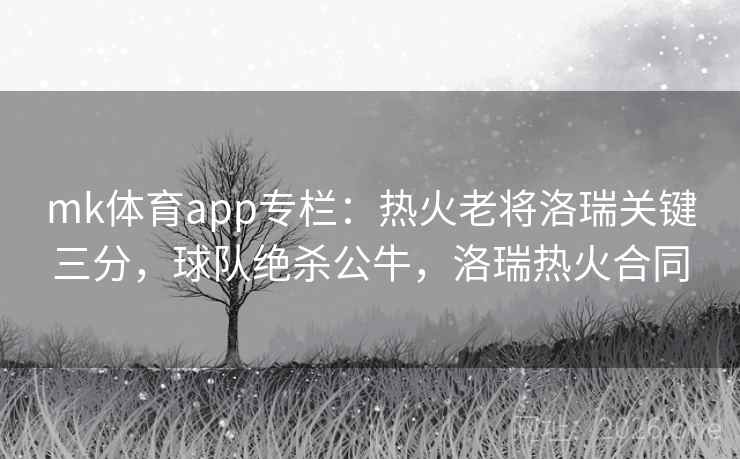 mk体育app专栏：热火老将洛瑞关键三分，球队绝杀公牛，洛瑞热火合同