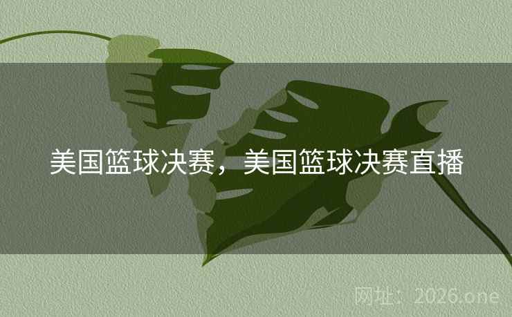 美国篮球决赛，美国篮球决赛直播